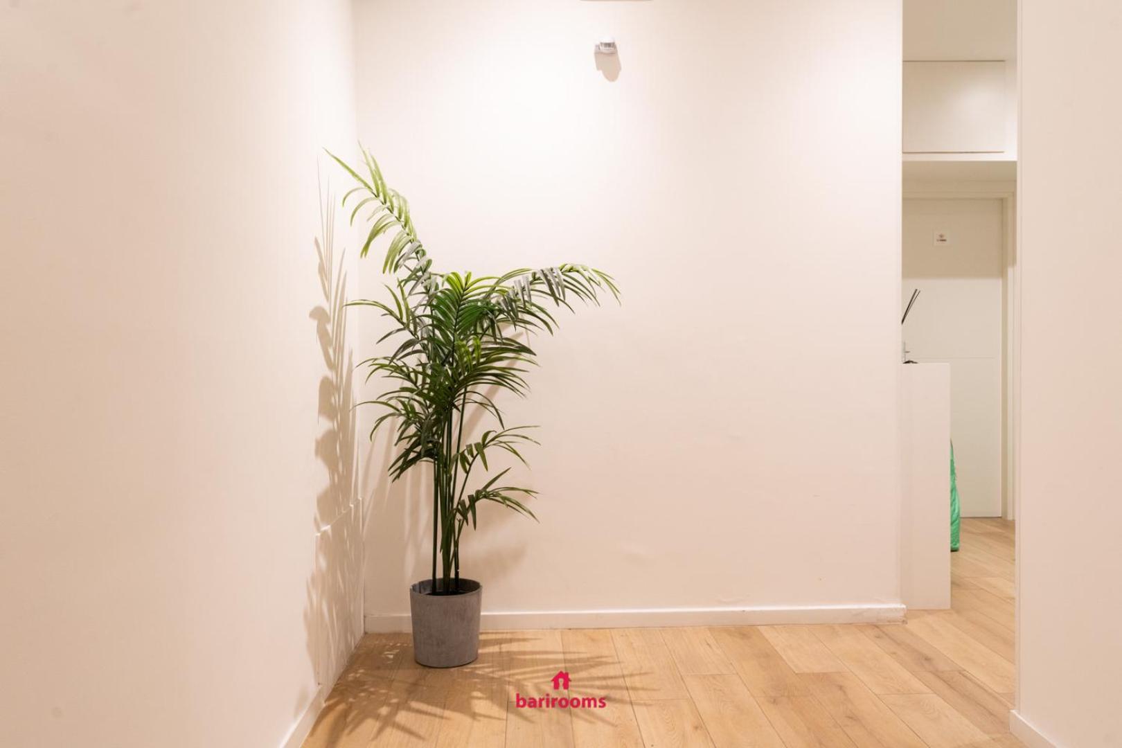 酒吧间-Picca 24 Apartamento
